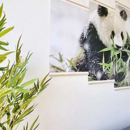 Appartamento La Résidence évasion 3 - Original - Gare - Wifi - Relax Mulhouse